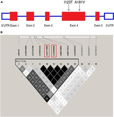 A Functional Variant of CXCL16 Is Associated With Predisposition to Sepsis and <mark class="highlighted">MOD</mark>S in Trauma Patients: Genetic Association Studies